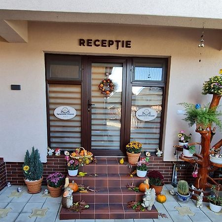 Făgăraş Splendid House酒店 外观 照片