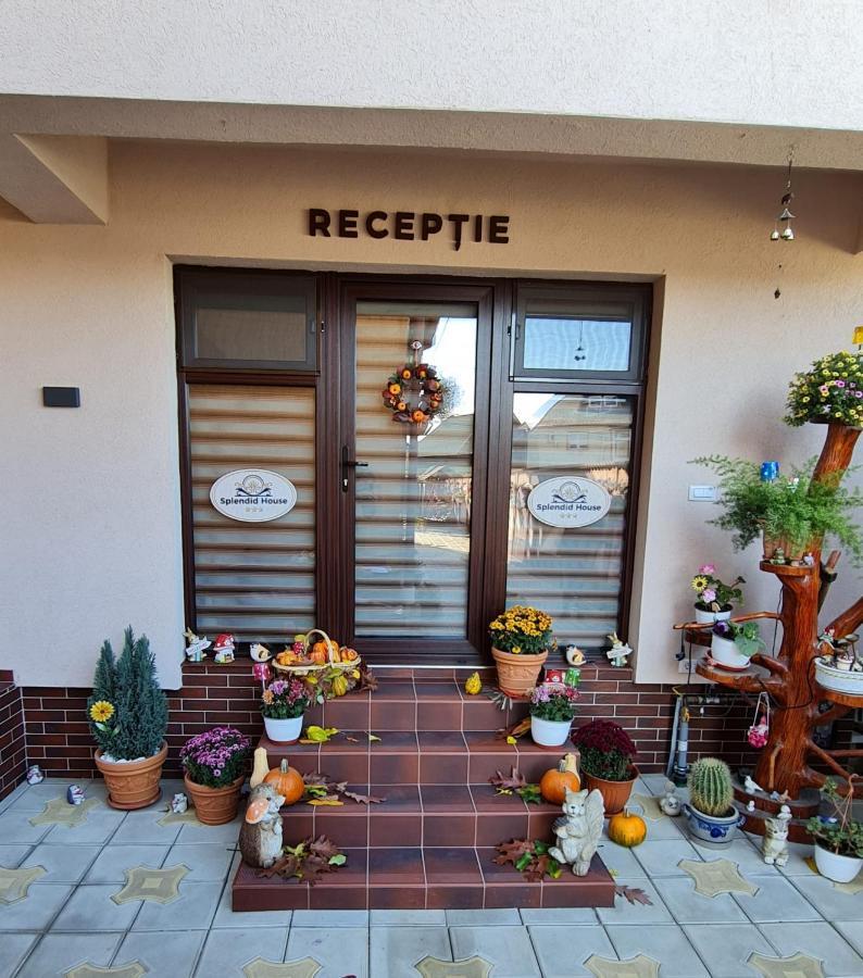 Făgăraş Splendid House酒店 外观 照片