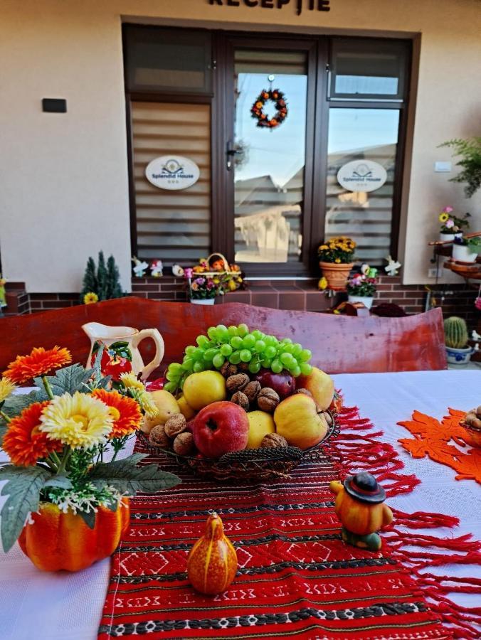 Făgăraş Splendid House酒店 外观 照片